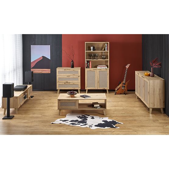BORNEO RTV-1 TV stolík dub artisan/čierny (1p=1ks)