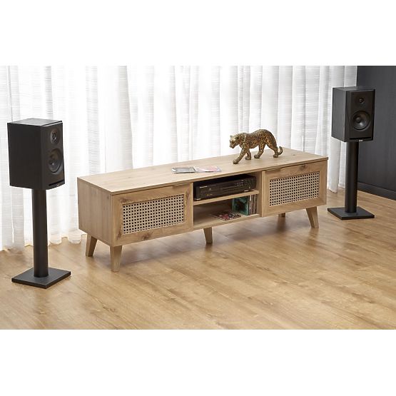 BORNEO RTV-1 TV stolík dub artisan/čierny (1p=1ks)