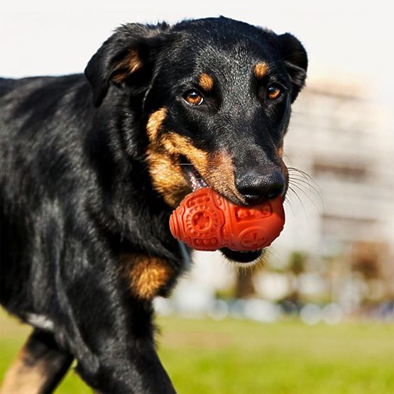 Červená žuvacia lopta pre psov PJ-046