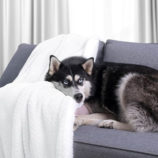 Deka SHLEEPY farba biela žakárovo razená klasický štýl 170x210