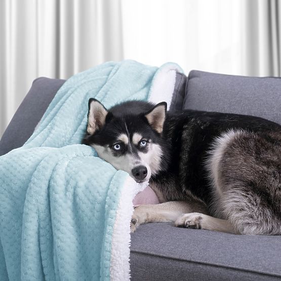 Deka SHLEEPY farba svetlomodrá žakárový vzor klasický štýl 70x150