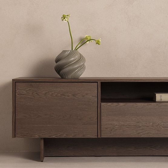 Dvojdverová TV skrinka so zásuvkou Kanso, Dub Baltic Storm