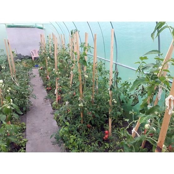 Fóliový tunel - záhradný skleník - 3x6 m