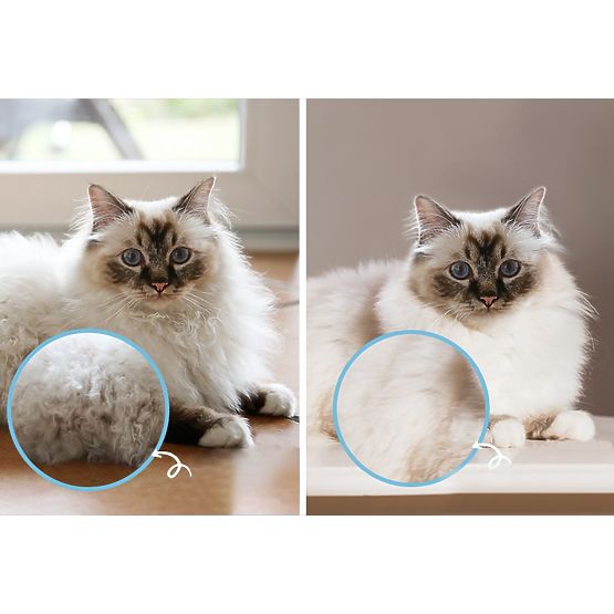 Hrebeň - profesionálna kefa proti zacuchaniu PJ-040