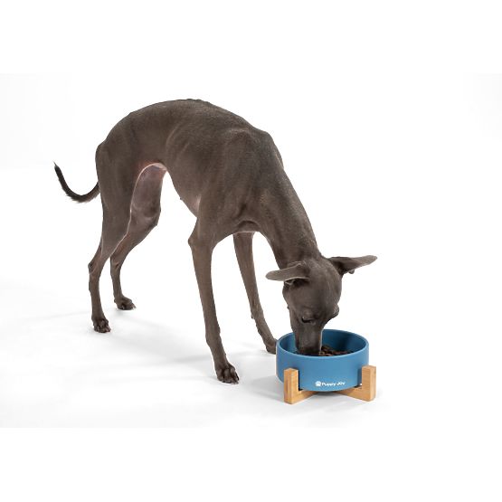 Keramická miska pre psa alebo mačku modrá PJ-033