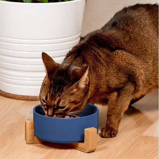 Keramická miska pre psa alebo mačku modrá PJ-033