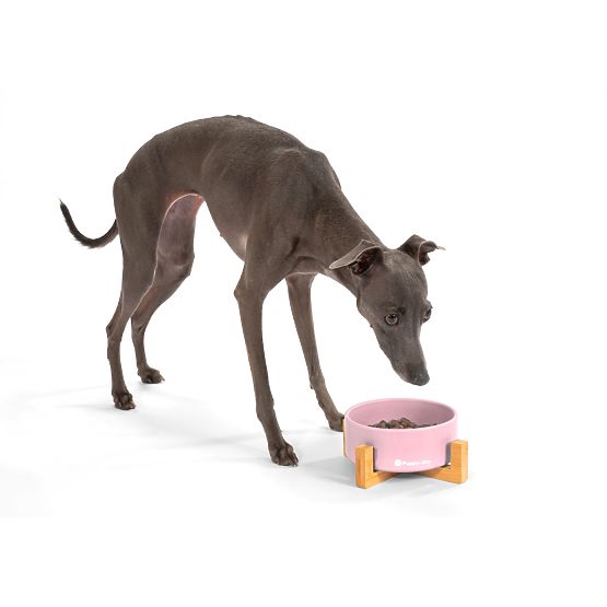 Keramická miska pre psa alebo mačku ružová PJ-032