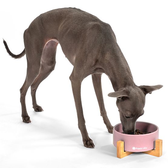 Keramická miska pre psa alebo mačku ružová PJ-032