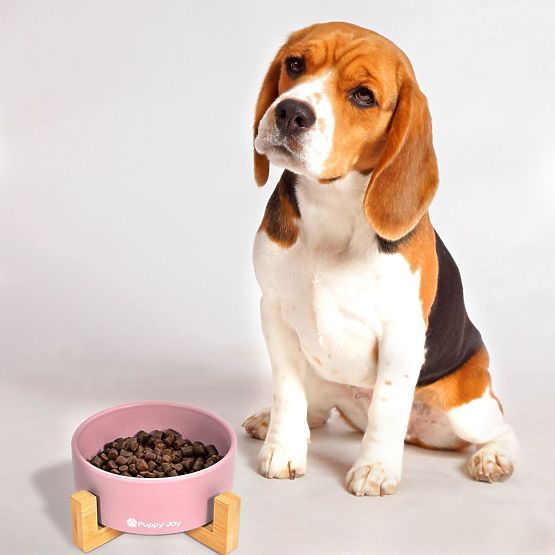 Keramická miska pre psa alebo mačku ružová PJ-032