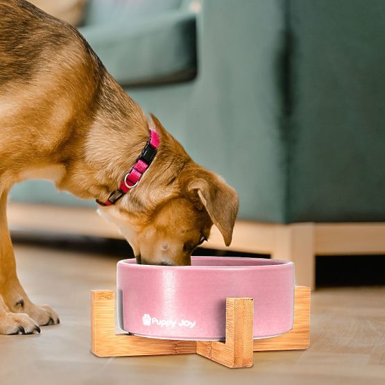 Keramická miska pre psa alebo mačku ružová PJ-032