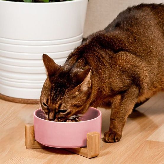 Keramická miska pre psa alebo mačku ružová PJ-032