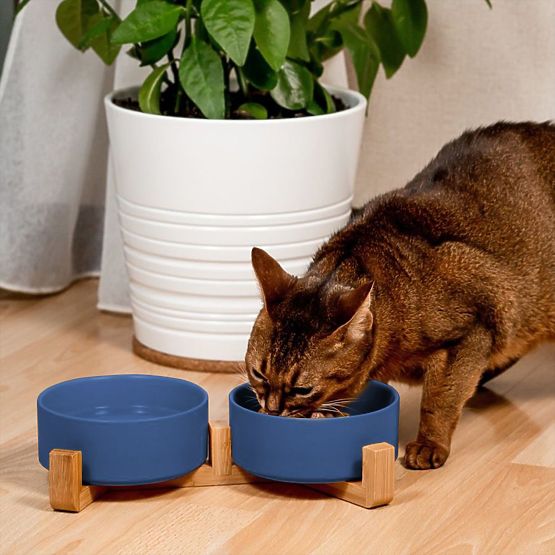 Keramické Misky Pre Psa alebo Mačku Modré PJ-080