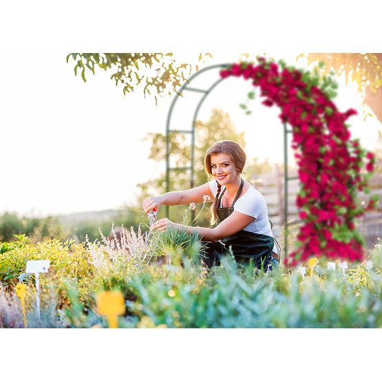 Kovová pergola oblúk čierna 240 cm