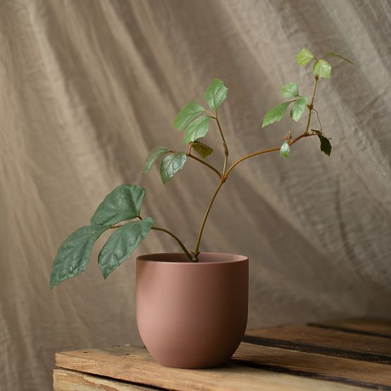 Kvetináč SHIRE farba svetlomodrá moderný štýl do interiéru ameliahome