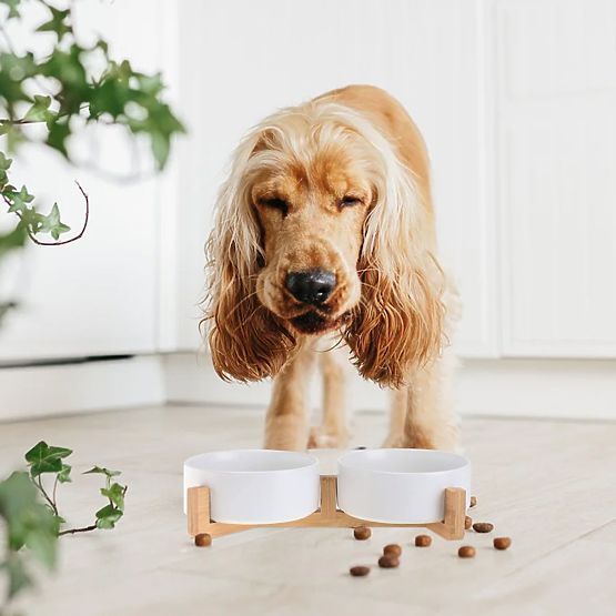 MISKA NA KRMIVO A VODU PRE ZVIERATÁ BIELA 331579