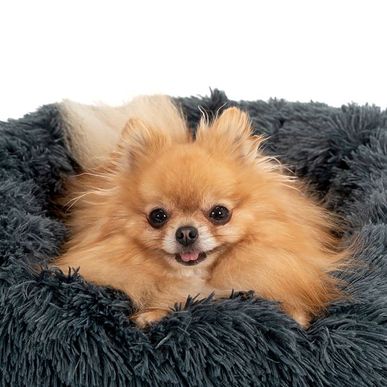 PELECH PRE PSA MAČKU PJ-005 TMAVO SIVÝ XL