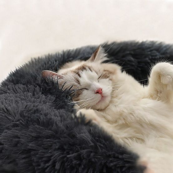 PELIEŠOK PRE PSA MAČKU PJ-003 TMAVO SIVÝ M