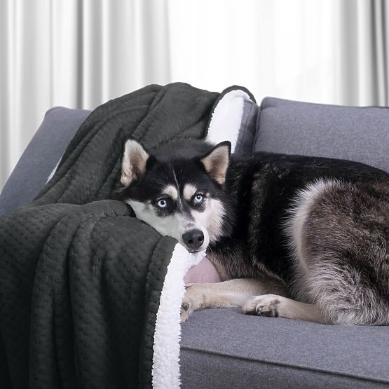 Prikrývka SHLEEPY farba grafitová žakárovo razená klasický štýl 170x210