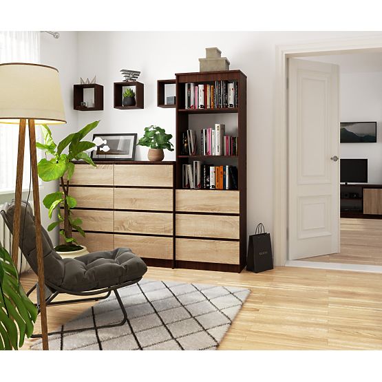 REGÁL R60 3SZ 2P CLP WENGE / SONOMA