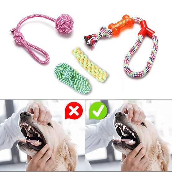 Sada 10 hračiek pre psov DYLAN preťahovadlá