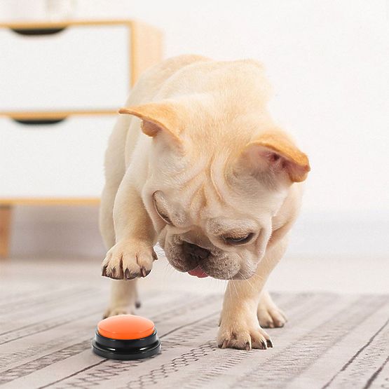 Sada 4 komunikačných tlačidiel pre psa TALKER