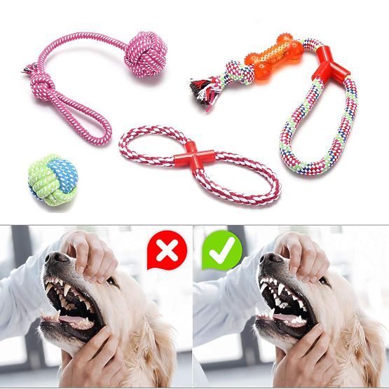 Sada preťahovacích hračiek pre psov SPANKY 5 kusov
