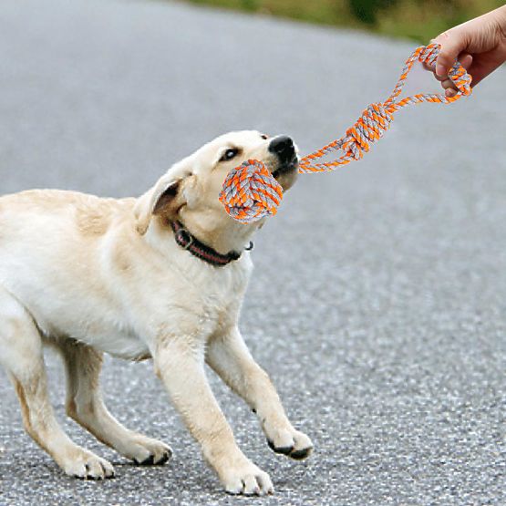 Sada preťahovacích hračiek pre psov SPANKY 5 kusov