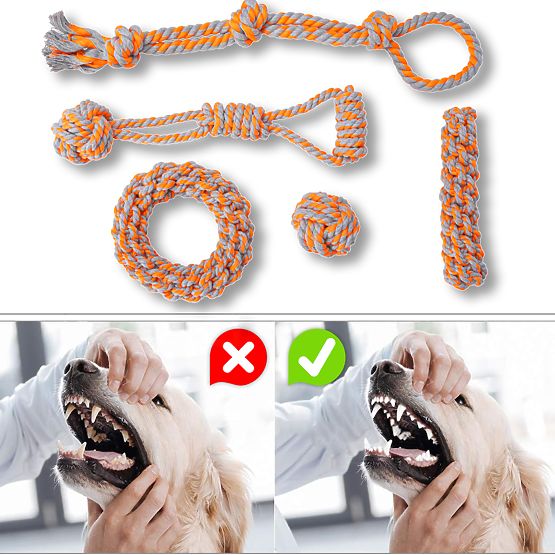 Sada preťahovacích hračiek pre psov SPANKY 5 kusov