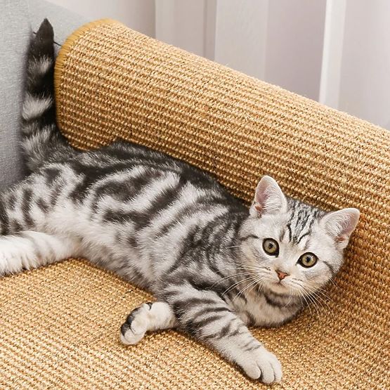 ŠKRABADLO PODLOŽKA PRE MAČKU 60x40cm 332494