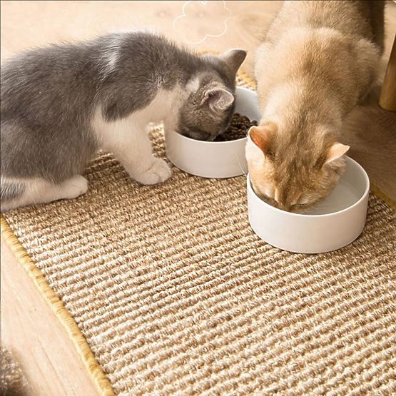 ŠKRABADLO PODLOŽKA PRE MAČKU 60x40cm 332494