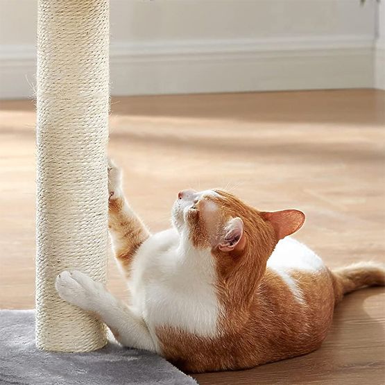 ŠKRABADLO PRE MAČKY ŠEDÉ P10244