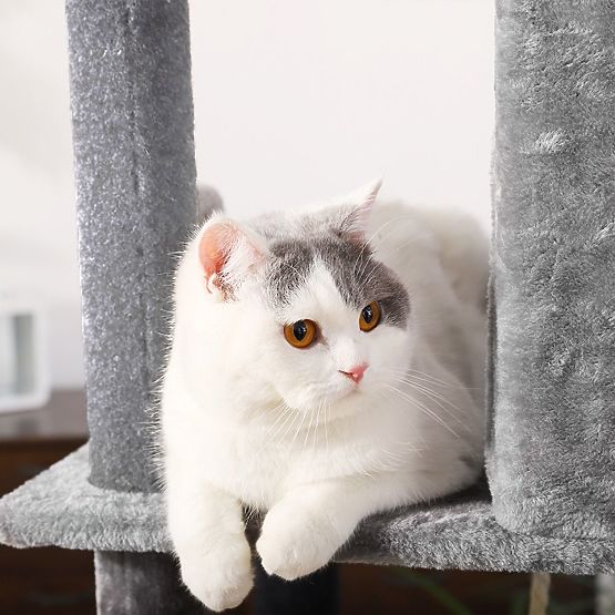 ŠKRABADLO PRE MAČKY ŠEDÉ P10244