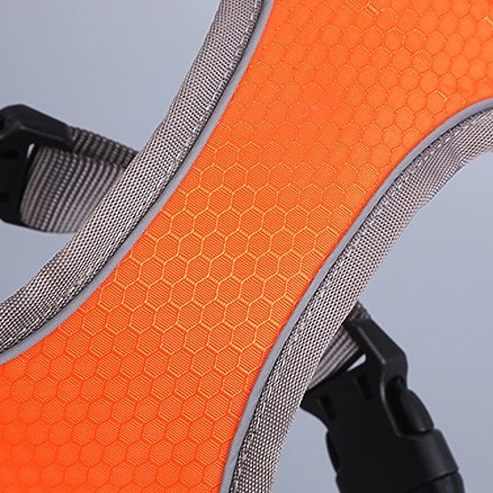 Tréningové postroje pre psy ASTRO oranžové veľkosť M