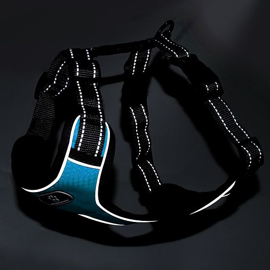 Tréningový postroj pre psa ASTRO modrý veľkosť XL