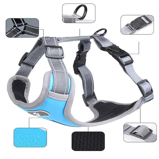 Tréningový postroj pre psy ASTRO modrý veľkosť M