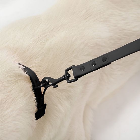 Vodítko a obojok pre psa PJ-071 čierna M