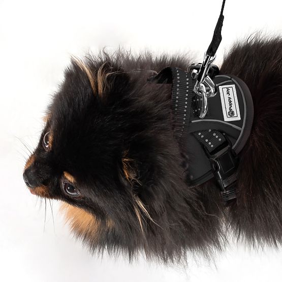 Vodítko a postroj pre psa PJ-047 čierna XS