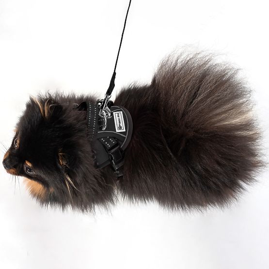 Vodítko a postroj pre psa PJ-047 čierna XS