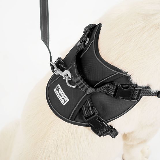 Vodítko a postroj pre psa PJ-059 čierna L