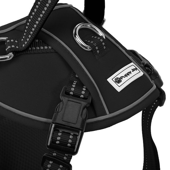 Vodítko a postroj pre psa PJ-059 čierna L