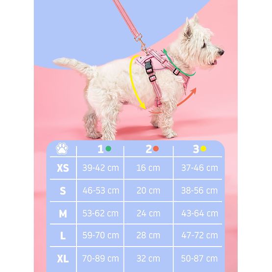 Vodítko a postroj pre psa PJ-064 ružová XL