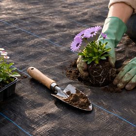 Čierna agrotextília UV 150g proti burinám rohož 1,6x20m kolíky MulltiGarden, MultiGarden