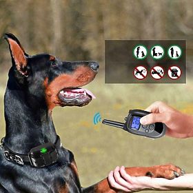 ELEKTRICKÝ VÝCVIKOVÝ OBOJOK PRE PSA pj-098