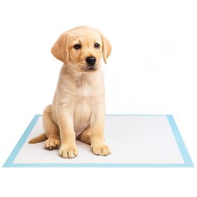 Hygienické podložky pre zvieratá BARRY 50 ks