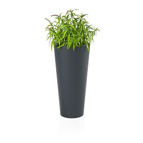 Kliknite pre zväčšenie