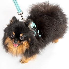 Vodítko a postroj pre psa PJ-050 modrá XS, PuppyJoy