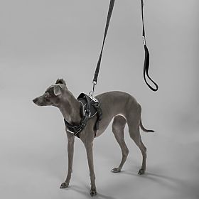 Vodítko a postroj pre psa PJ-055 čierna M, PuppyJoy